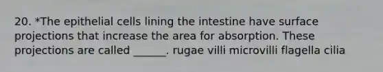 20. *The epithelial cells lining the intestine have surface projections that increase the area for absorption. These projections are called ______. rugae villi microvilli flagella cilia