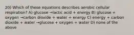 20) Which of these equations describes aerobic cellular respiration? A) glucose →lactic acid + energy B) glucose + oxygen →carbon dioxide + water + energy C) energy + carbon dioxide + water →glucose + oxygen + water D) none of the above