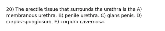 20) The erectile tissue that surrounds the urethra is the A) membranous urethra. B) penile urethra. C) glans penis. D) corpus spongiosum. E) corpora cavernosa.