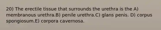 20) The erectile tissue that surrounds the urethra is the A) membranous urethra.B) penile urethra.C) glans penis. D) corpus spongiosum.E) corpora cavernosa.