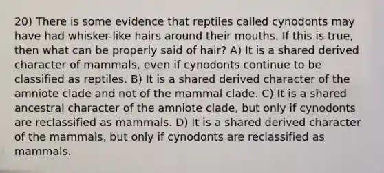 20) There is some evidence that reptiles called cynodonts may have had whisker-like hairs around their mouths. If this is true, then what can be properly said of hair? A) It is a shared derived character of mammals, even if cynodonts continue to be classified as reptiles. B) It is a shared derived character of the amniote clade and not of the mammal clade. C) It is a shared ancestral character of the amniote clade, but only if cynodonts are reclassified as mammals. D) It is a shared derived character of the mammals, but only if cynodonts are reclassified as mammals.