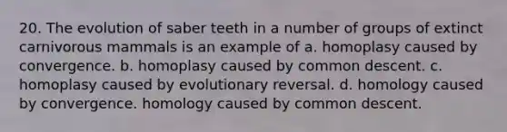 20. The evolution of saber teeth in a number of groups of extinct carnivorous mammals is an example of a. homoplasy caused by convergence. b. homoplasy caused by common descent. c. homoplasy caused by evolutionary reversal. d. homology caused by convergence. homology caused by common descent.