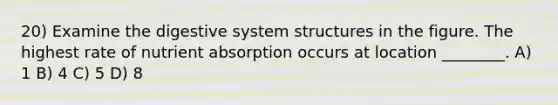 20) Examine the digestive system structures in the figure. The highest rate of nutrient absorption occurs at location ________. A) 1 B) 4 C) 5 D) 8