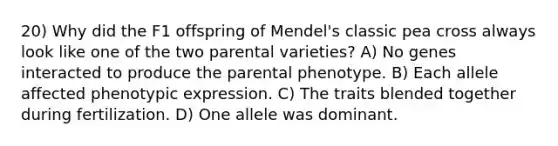 20) Why did the F1 offspring of Mendel's classic pea cross always look like one of the two parental varieties? A) No genes interacted to produce the parental phenotype. B) Each allele affected phenotypic expression. C) The traits blended together during fertilization. D) One allele was dominant.