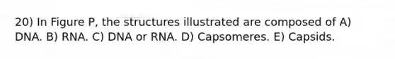 20) In Figure P, the structures illustrated are composed of A) DNA. B) RNA. C) DNA or RNA. D) Capsomeres. E) Capsids.