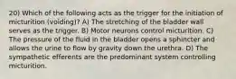 20) Which of the following acts as the trigger for the initiation of micturition (voiding)? A) The stretching of the bladder wall serves as the trigger. B) Motor neurons control micturition. C) The pressure of the fluid in the bladder opens a sphincter and allows the urine to flow by gravity down the urethra. D) The sympathetic efferents are the predominant system controlling micturition.