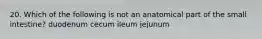 20. Which of the following is not an anatomical part of the small intestine? duodenum cecum ileum jejunum