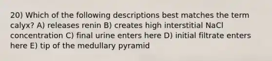 20) Which of the following descriptions best matches the term calyx? A) releases renin B) creates high interstitial NaCl concentration C) final urine enters here D) initial filtrate enters here E) tip of the medullary pyramid