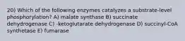 20) Which of the following enzymes catalyzes a substrate-level phosphorylation? A) malate synthase B) succinate dehydrogenase C) -ketoglutarate dehydrogenase D) succinyl-CoA synthetase E) fumarase