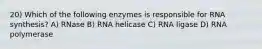 20) Which of the following enzymes is responsible for RNA synthesis? A) RNase B) RNA helicase C) RNA ligase D) RNA polymerase