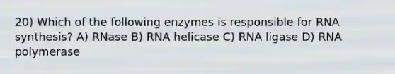 20) Which of the following enzymes is responsible for RNA synthesis? A) RNase B) RNA helicase C) RNA ligase D) RNA polymerase