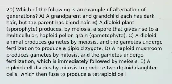 20) Which of the following is an example of alternation of generations? A) A grandparent and grandchild each has dark hair, but the parent has blond hair. B) A diploid plant (sporophyte) produces, by meiosis, a spore that gives rise to a multicellular, haploid pollen grain (gametophyte). C) A diploid animal produces gametes by meiosis, and the gametes undergo fertilization to produce a diploid zygote. D) A haploid mushroom produces gametes by mitosis, and the gametes undergo fertilization, which is immediately followed by meiosis. E) A diploid cell divides by mitosis to produce two diploid daughter cells, which then fuse to produce a tetraploid cell