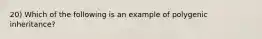 20) Which of the following is an example of polygenic inheritance?