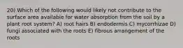 20) Which of the following would likely not contribute to the surface area available for water absorption from the soil by a plant root system? A) root hairs B) endodermis C) mycorrhizae D) fungi associated with the roots E) fibrous arrangement of the roots