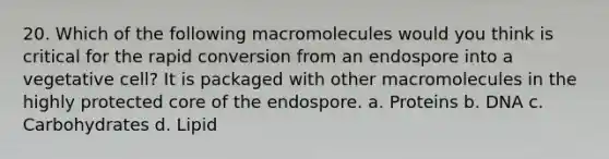 20. Which of the following macromolecules would you think is critical for the rapid conversion from an endospore into a vegetative cell? It is packaged with other macromolecules in the highly protected core of the endospore. a. Proteins b. DNA c. Carbohydrates d. Lipid