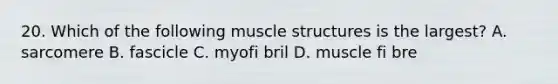 20. Which of the following muscle structures is the largest? A. sarcomere B. fascicle C. myofi bril D. muscle fi bre