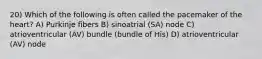 20) Which of the following is often called the pacemaker of the heart? A) Purkinje fibers B) sinoatrial (SA) node C) atrioventricular (AV) bundle (bundle of His) D) atrioventricular (AV) node