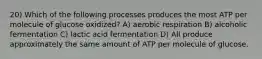 20) Which of the following processes produces the most ATP per molecule of glucose oxidized? A) aerobic respiration B) alcoholic fermentation C) lactic acid fermentation D) All produce approximately the same amount of ATP per molecule of glucose.