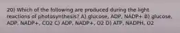 20) Which of the following are produced during the light reactions of photosynthesis? A) glucose, ADP, NADP+ B) glucose, ADP, NADP+, CO2 C) ADP, NADP+, O2 D) ATP, NADPH, O2