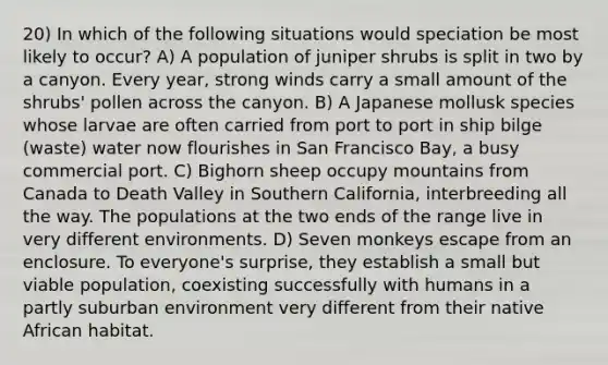 20) In which of the following situations would speciation be most likely to occur? A) A population of juniper shrubs is split in two by a canyon. Every year, strong winds carry a small amount of the shrubs' pollen across the canyon. B) A Japanese mollusk species whose larvae are often carried from port to port in ship bilge (waste) water now flourishes in San Francisco Bay, a busy commercial port. C) Bighorn sheep occupy mountains from Canada to Death Valley in Southern California, interbreeding all the way. The populations at the two ends of the range live in very different environments. D) Seven monkeys escape from an enclosure. To everyone's surprise, they establish a small but viable population, coexisting successfully with humans in a partly suburban environment very different from their native African habitat.