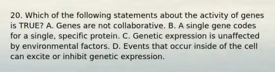 20. Which of the following statements about the activity of genes is TRUE? A. Genes are not collaborative. B. A single gene codes for a single, specific protein. C. Genetic expression is unaffected by environmental factors. D. Events that occur inside of the cell can excite or inhibit genetic expression.