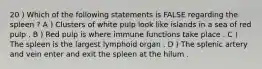 20 ) Which of the following statements is FALSE regarding the spleen ? A ) Clusters of white pulp look like islands in a sea of red pulp . B ) Red pulp is where immune functions take place . C ) The spleen is the largest lymphoid organ . D ) The splenic artery and vein enter and exit the spleen at the hilum .