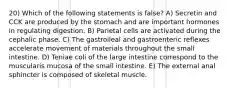 20) Which of the following statements is false? A) Secretin and CCK are produced by the stomach and are important hormones in regulating digestion. B) Parietal cells are activated during the cephalic phase. C) The gastroileal and gastroenteric reflexes accelerate movement of materials throughout the small intestine. D) Teniae coli of the large intestine correspond to the muscularis mucosa of the small intestine. E) The external anal sphincter is composed of skeletal muscle.