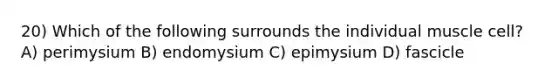 20) Which of the following surrounds the individual muscle cell? A) perimysium B) endomysium C) epimysium D) fascicle