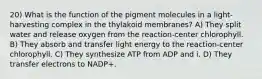 20) What is the function of the pigment molecules in a light-harvesting complex in the thylakoid membranes? A) They split water and release oxygen from the reaction-center chlorophyll. B) They absorb and transfer light energy to the reaction-center chlorophyll. C) They synthesize ATP from ADP and i. D) They transfer electrons to NADP+.