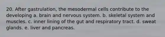 20. After gastrulation, the mesodermal cells contribute to the developing a. brain and <a href='https://www.questionai.com/knowledge/kThdVqrsqy-nervous-system' class='anchor-knowledge'>nervous system</a>. b. skeletal system and muscles. c. inner lining of the gut and respiratory tract. d. sweat glands. e. liver and pancreas.