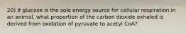 20) If glucose is the sole energy source for cellular respiration in an animal, what proportion of the carbon dioxide exhaled is derived from oxidation of pyruvate to acetyl CoA?