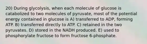 20) During glycolysis, when each molecule of glucose is catabolized to two molecules of pyruvate, most of the potential energy contained in glucose is A) transferred to ADP, forming ATP. B) transferred directly to ATP. C) retained in the two pyruvates. D) stored in the NADH produced. E) used to phosphorylate fructose to form fructose 6-phosphate.