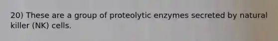 20) These are a group of proteolytic enzymes secreted by natural killer (NK) cells.