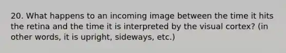 20. What happens to an incoming image between the time it hits the retina and the time it is interpreted by the visual cortex? (in other words, it is upright, sideways, etc.)