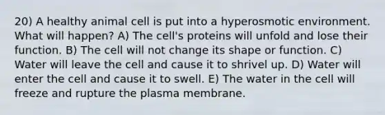 20) A healthy animal cell is put into a hyperosmotic environment. What will happen? A) The cell's proteins will unfold and lose their function. B) The cell will not change its shape or function. C) Water will leave the cell and cause it to shrivel up. D) Water will enter the cell and cause it to swell. E) The water in the cell will freeze and rupture the plasma membrane.