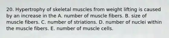 20. Hypertrophy of skeletal muscles from weight lifting is caused by an increase in the A. number of muscle fibers. B. size of muscle fibers. C. number of striations. D. number of nuclei within the muscle fibers. E. number of muscle cells.