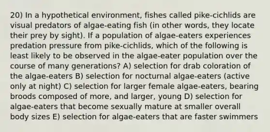 20) In a hypothetical environment, fishes called pike-cichlids are visual predators of algae-eating fish (in other words, they locate their prey by sight). If a population of algae-eaters experiences predation pressure from pike-cichlids, which of the following is least likely to be observed in the algae-eater population over the course of many generations? A) selection for drab coloration of the algae-eaters B) selection for nocturnal algae-eaters (active only at night) C) selection for larger female algae-eaters, bearing broods composed of more, and larger, young D) selection for algae-eaters that become sexually mature at smaller overall body sizes E) selection for algae-eaters that are faster swimmers