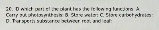 20. ID which part of the plant has the following functions: A. Carry out photosynthesis: B. Store water: C. Store carbohydrates: D. Transports substance between root and leaf: