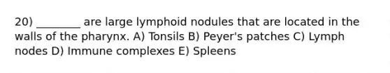 20) ________ are large lymphoid nodules that are located in the walls of the pharynx. A) Tonsils B) Peyer's patches C) Lymph nodes D) Immune complexes E) Spleens