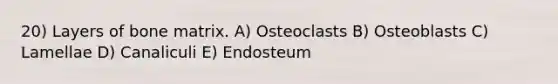 20) Layers of bone matrix. A) Osteoclasts B) Osteoblasts C) Lamellae D) Canaliculi E) Endosteum