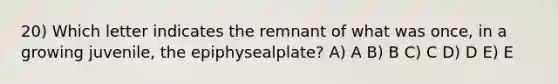 20) Which letter indicates the remnant of what was once, in a growing juvenile, the epiphysealplate? A) A B) B C) C D) D E) E