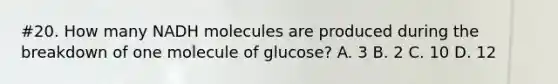 #20. How many NADH molecules are produced during the breakdown of one molecule of glucose? A. 3 B. 2 C. 10 D. 12