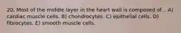 20. Most of the middle layer in the heart wall is composed of... A) cardiac muscle cells. B) chondrocytes. C) epithelial cells. D) fibrocytes. E) smooth muscle cells.