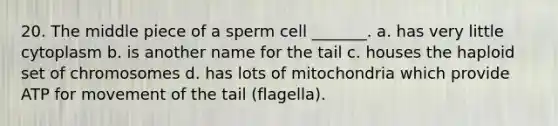 20. The middle piece of a sperm cell _______. a. has very little cytoplasm b. is another name for the tail c. houses the haploid set of chromosomes d. has lots of mitochondria which provide ATP for movement of the tail (flagella).