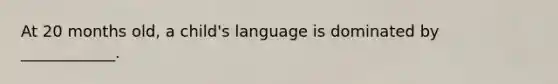 At 20 months old, a child's language is dominated by ____________.