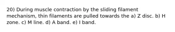 20) During muscle contraction by the sliding filament mechanism, thin filaments are pulled towards the a) Z disc. b) H zone. c) M line. d) A band. e) I band.