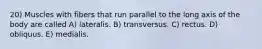 20) Muscles with fibers that run parallel to the long axis of the body are called A) lateralis. B) transversus. C) rectus. D) obliquus. E) medialis.