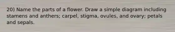 20) Name the parts of a flower. Draw a simple diagram including stamens and anthers; carpel, stigma, ovules, and ovary; petals and sepals.