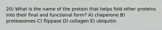 20) What is the name of the protein that helps fold other proteins into their final and functional form? A) chaperone B) proteasomes C) flippase D) collagen E) ubiquitin