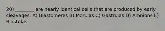 20) ________ are nearly identical cells that are produced by early cleavages. A) Blastomeres B) Morulas C) Gastrulas D) Amnions E) Blastulas